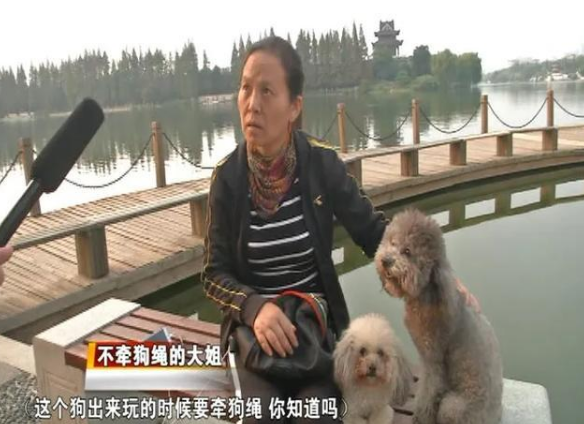恶犬咬死孩子,养狗门槛在哪 恶犬咬死孩子,养狗门槛在哪