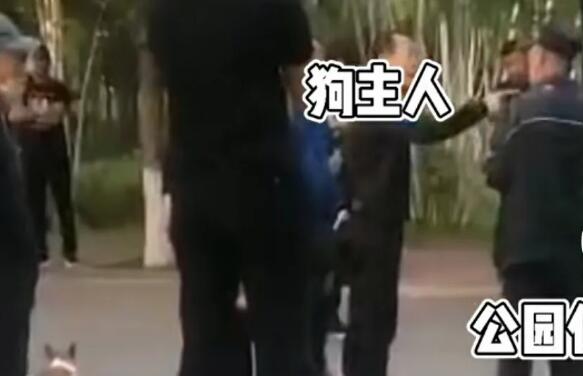 绥化市人民公园闯入一只未牵绳的宠物狗，公园保安发现后立即前去追捕！