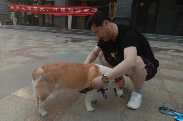 牵紧“文明绳”做文明养犬人 牵紧“文明绳”做文明养犬人