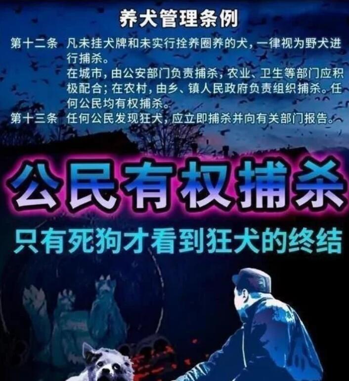 活该!江苏一条狗遭菜场老板棒杀挂树,爱狗人士看到伤心欲绝 活该!江苏一条狗遭菜场老板棒杀挂树,爱狗人士看到伤心欲绝