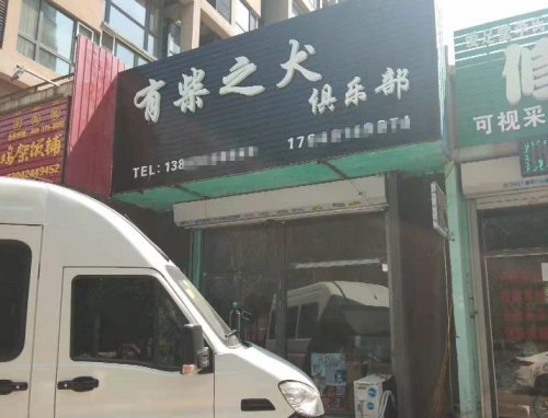 尴尬!沈阳一宠物店收了“彩礼”却拖着不退 尴尬!沈阳一宠物店收了“彩礼”却拖着不退