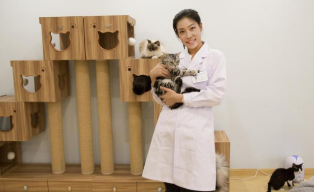 爱猫及猫 “星际喵”创始人王炳龙的商业智慧