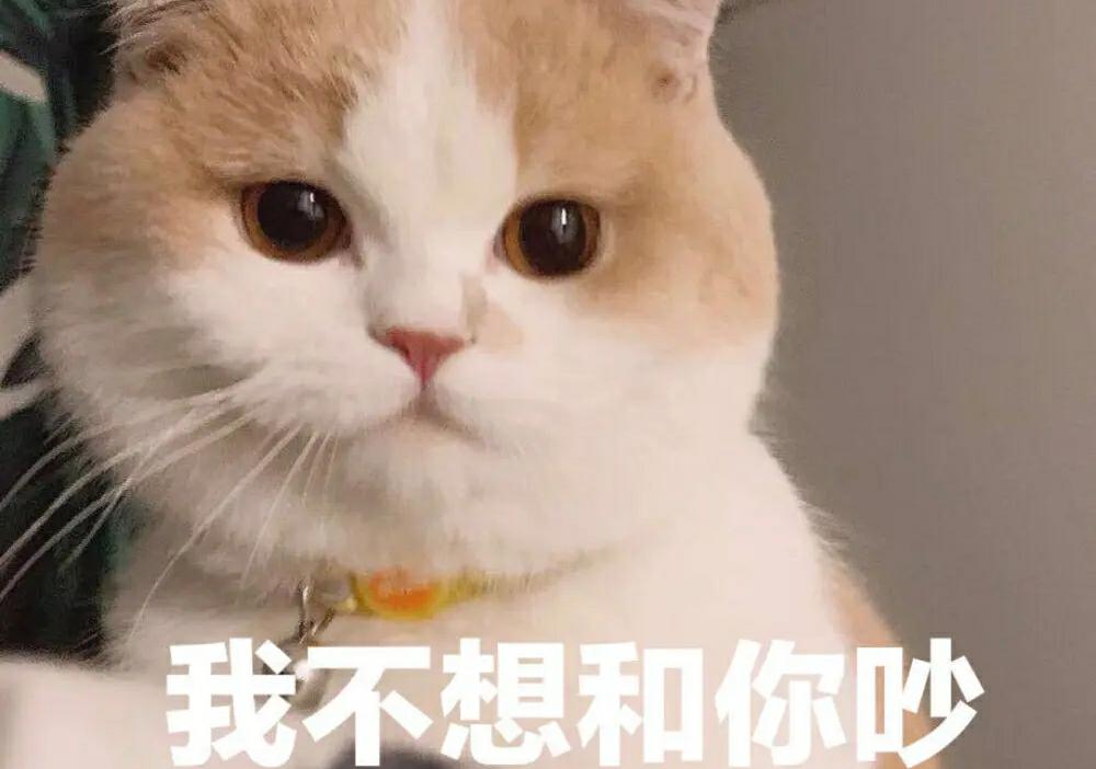 主人家抱金毛，小鹿犬发脾气气得焦躁不安，狗：赶紧它放出来抱我……