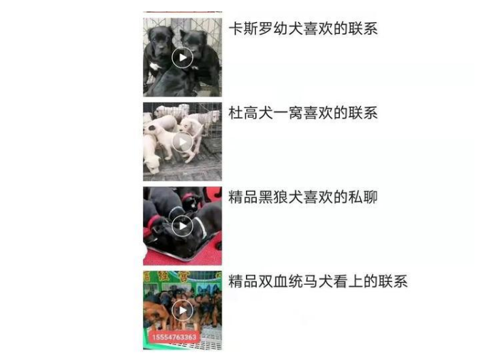 恶犬咬死孩子,养狗门槛在哪 恶犬咬死孩子,养狗门槛在哪