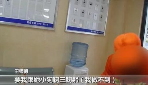 环卫工被狗拌了一下 狗主人给我的狗三鞠躬道歉