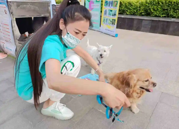 牵紧“文明绳”做文明养犬人 牵紧“文明绳”做文明养犬人
