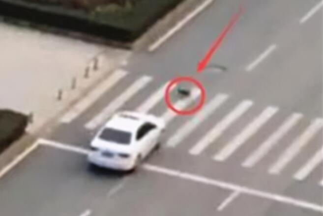 宠物狗闯红灯被车撞死,狗主人向车主索赔18万?交警判罚让人拍手称快 宠物狗闯红灯被车撞死,狗主人向车主索赔18万?交警判罚让人拍手称快