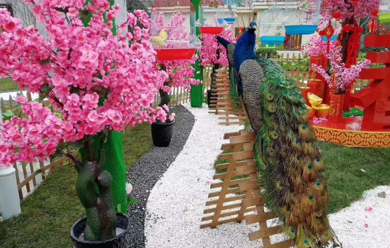 驻马店羊驼宠物兔出租观赏时间和来报价格的【济宁新豪庆典】