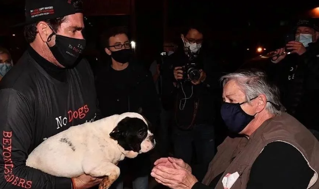 79只中国遗弃犬历经10个月飞抵纽约,各州居民喜迎家庭新成员 79只中国遗弃犬历经10个月飞抵纽约,各州居民喜迎家庭新成员