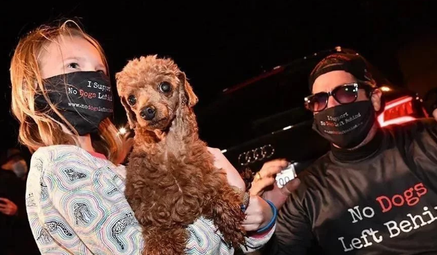 79只中国遗弃犬历经10个月飞抵纽约,各州居民喜迎家庭新成员 79只中国遗弃犬历经10个月飞抵纽约,各州居民喜迎家庭新成员