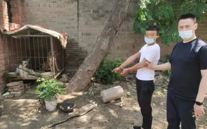 哥俩开套牌车偷狗 三年作案数十起获利数万元 哥俩开套牌车偷狗 三年作案数十起获利数万元