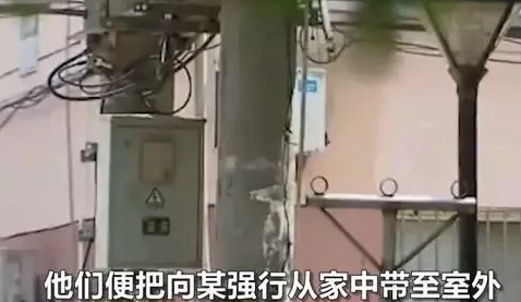 四川5名爱狗人士对卖狗肉者拘禁、殴打,要求对狗下跪道歉,被判刑 四川5名爱狗人士对卖狗肉者拘禁、殴打,要求对狗下跪道歉,被判刑