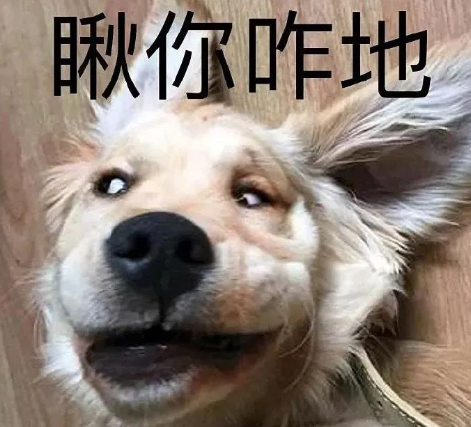 劝你少喝酒是有道理的，看这只成了精的狗狗你就明白了！