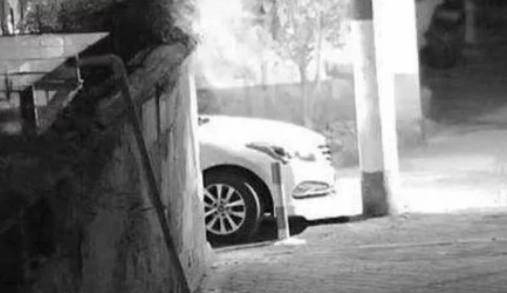男子丢石头砸宠物狗，却被狗主人赶尽杀绝，送至医院抢救无效身亡