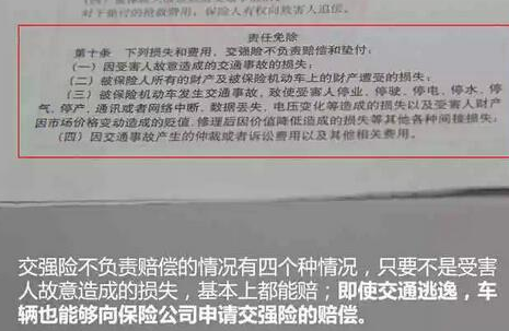 看完就明白:开车撞死了狗,保险会给赔吗? 看完就明白:开车撞死了狗,保险会给赔吗?