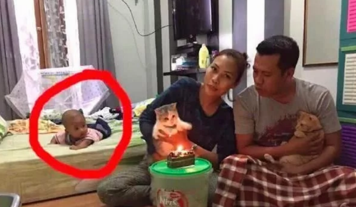 夫妻俩给猫咪过生日，床上的儿子却成了亮点到底谁才是亲生的