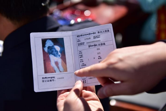 拉萨市已办理养犬登记证21811本 拉萨市已办理养犬登记证21811本