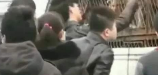 爱狗人士非法禁锢,殴打狗肉店主:有些人只爱狗,不爱人! 爱狗人士非法禁锢,殴打狗肉店主:有些人只爱狗,不爱人!