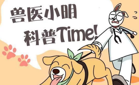 角马被7只狮子围堵,摄影师拉近镜头后竖起拇指 角马被7只狮子围堵,摄影师拉近镜头后竖起拇指