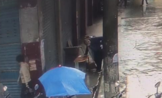 “当街打死金毛犬”事件调查:社区寻主人未果按流浪狗处理 “当街打死金毛犬”事件调查:社区寻主人未果按流浪狗处理
