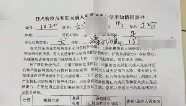 “当街打死金毛犬”事件调查:社区寻主人未果按流浪狗处理 “当街打死金毛犬”事件调查:社区寻主人未果按流浪狗处理