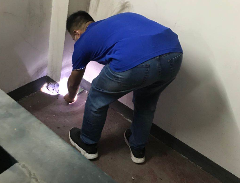 这里看:杭州乔司灭鼠处理方法 这里看:杭州乔司灭鼠处理方法