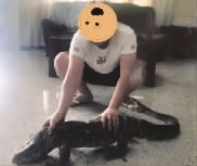 后果很严重！网购濒危野生动物，他们都摊上大事