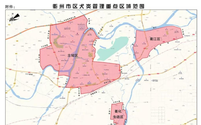 今起，一场违法养犬整治行动开始~