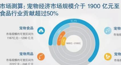 开一家撸猫店月入6万，合肥还有哪些宠物生意正在兴起？
