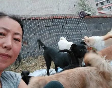 曾经救过无数次人的狗狗，如今却有人要“毒”死！