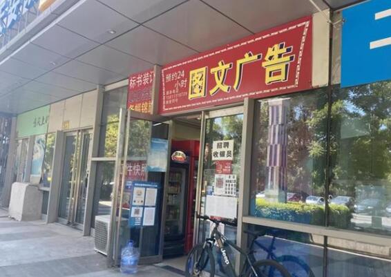 狗丢了怎么办,狗丢了去哪里找,寻狗赠房是真的吗 狗丢了怎么办,狗丢了去哪里找,寻狗赠房是真的吗