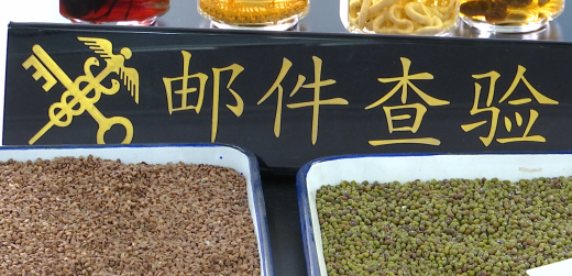 养另类宠物？这些来自境外的物种需要防范