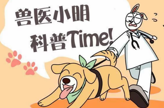 孕妈半夜被黑猫用力咬脸，痛醒后正准备发火