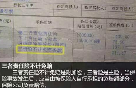 看完就明白:开车撞死了狗,保险会给赔吗? 看完就明白:开车撞死了狗,保险会给赔吗?
