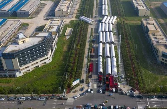 农村狗市价格便宜，河南客户整车采购：买狗方式与众不同