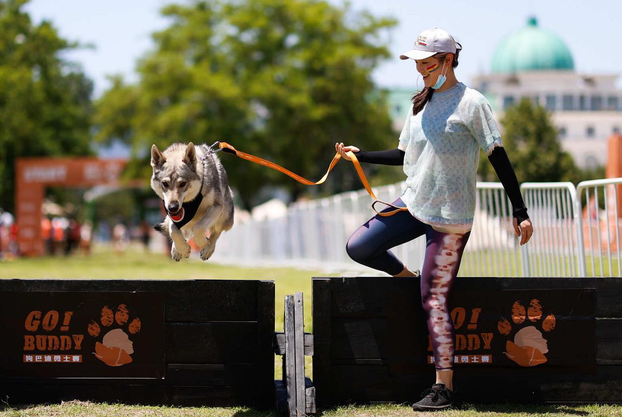 人犬合作征战障碍赛!狗巴迪勇士赛首站登陆北京 人犬合作征战障碍赛!狗巴迪勇士赛首站登陆北京