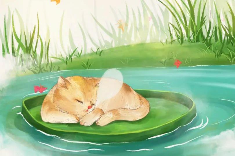 她梦到一只小猫求救,按照梦中线索去找,竟真找到了它 她梦到一只小猫求救,按照梦中线索去找,竟真找到了它