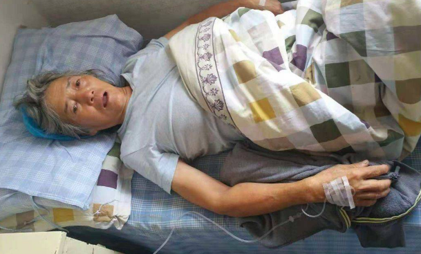 救过数千只狗的7旬老人,如今抱狗求人模样让人泪目...