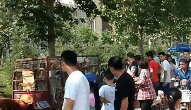 爱狗人士非法禁锢,殴打狗肉店主:有些人只爱狗,不爱人! 爱狗人士非法禁锢,殴打狗肉店主:有些人只爱狗,不爱人!