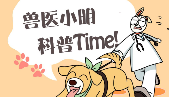 老人卖瓶子攒了好久的钱,给流浪猫们买了一只鸡,画面十分戳心 老人卖瓶子攒了好久的钱,给流浪猫们买了一只鸡,画面十分戳心