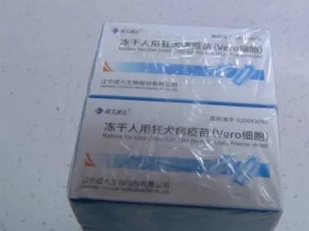 夏季狗猫易狂躁，狂犬疫苗接种率逐日增高！