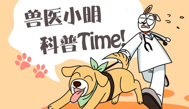 二哈头卡墙上动不了了,主人连着抽了一包烟:到底要房还是要狗? 二哈头卡墙上动不了了,主人连着抽了一包烟:到底要房还是要狗?