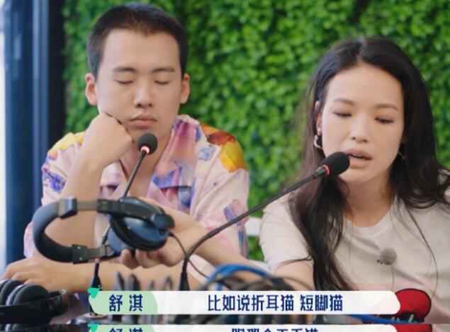 舒淇自曝养猫经验，呼吁领养代替购买，曾多次发文保护流浪猫获赞
