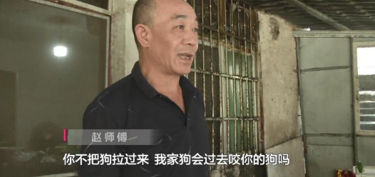 贵阳街边放养大狗不拴绳 闯祸后主人竟这样说 贵阳街边放养大狗不拴绳 闯祸后主人竟这样说