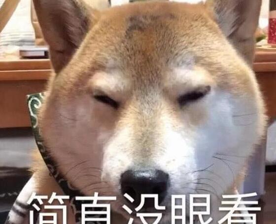 胖柴犬为了不跟主人跑步减肥, 竟然装瘸, 这演技我给满分, 太心机 胖柴犬为了不跟主人跑步减肥, 竟然装瘸, 这演技我给满分, 太心机