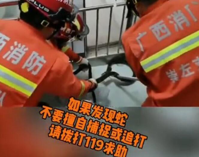 好危险！广西小区惊现2米眼镜蛇，男子出电梯险些被咬，有多毒？