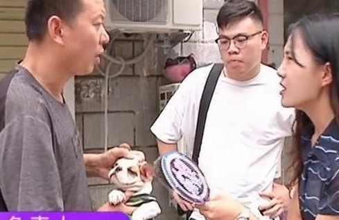 男子买了条法国斗牛犬,回家一看傻了眼,老板:你打电话报警吧 男子买了条法国斗牛犬,回家一看傻了眼,老板:你打电话报警吧