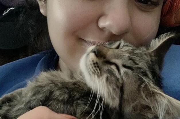 小奶猫鼓起勇气向路人求救，最后喜提铲屎官过上好日子！