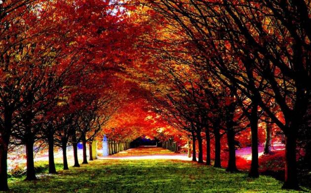 春节过后主人要回城，狗狗疯狂扒车：能不走吗？