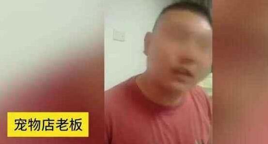 宠物店将恶犬栓门口,4岁男童被咬住不放,网友:老板真该死 宠物店将恶犬栓门口,4岁男童被咬住不放,网友:老板真该死